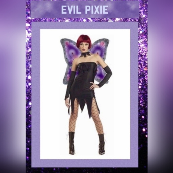 "THE EVIL PIXIE!" WOMENS DARK PIXIE COSTUME SIZE LARGE NEW! - Picture 1 of 10